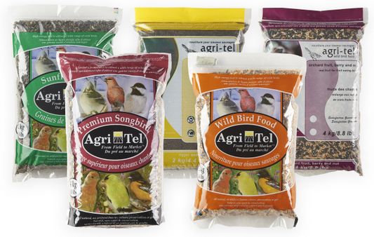 Attract a Symphony of Songbirds with Agri-Tel Premium Song Wild Bird Seed Bird Food