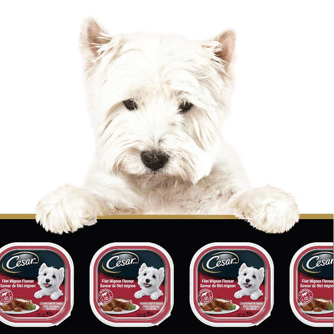 Cesar Classic Loaf in Sauce Soft Wet Dog Food Variety Pack- 36x100g Trays