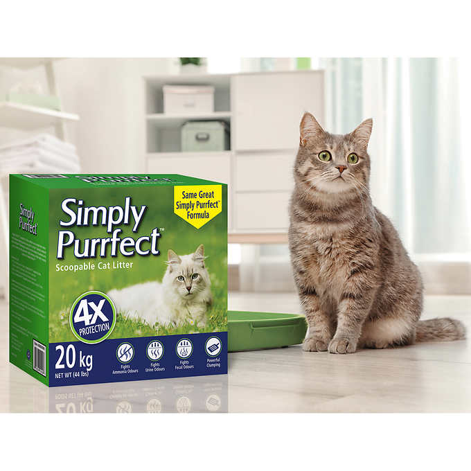 Litter purrfect cat litter best sale