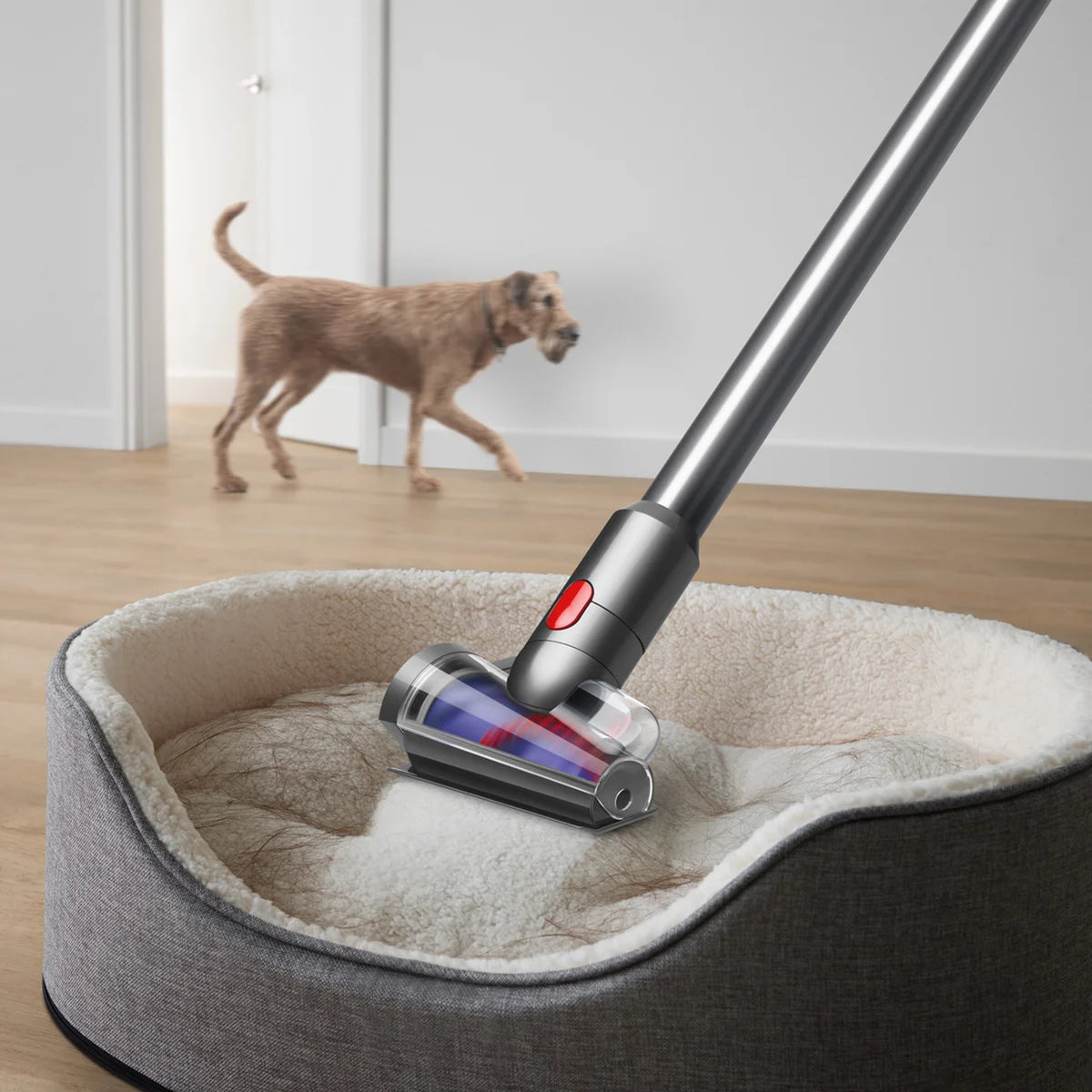 Dyson V12 Detect Slim Cordless Vacuum