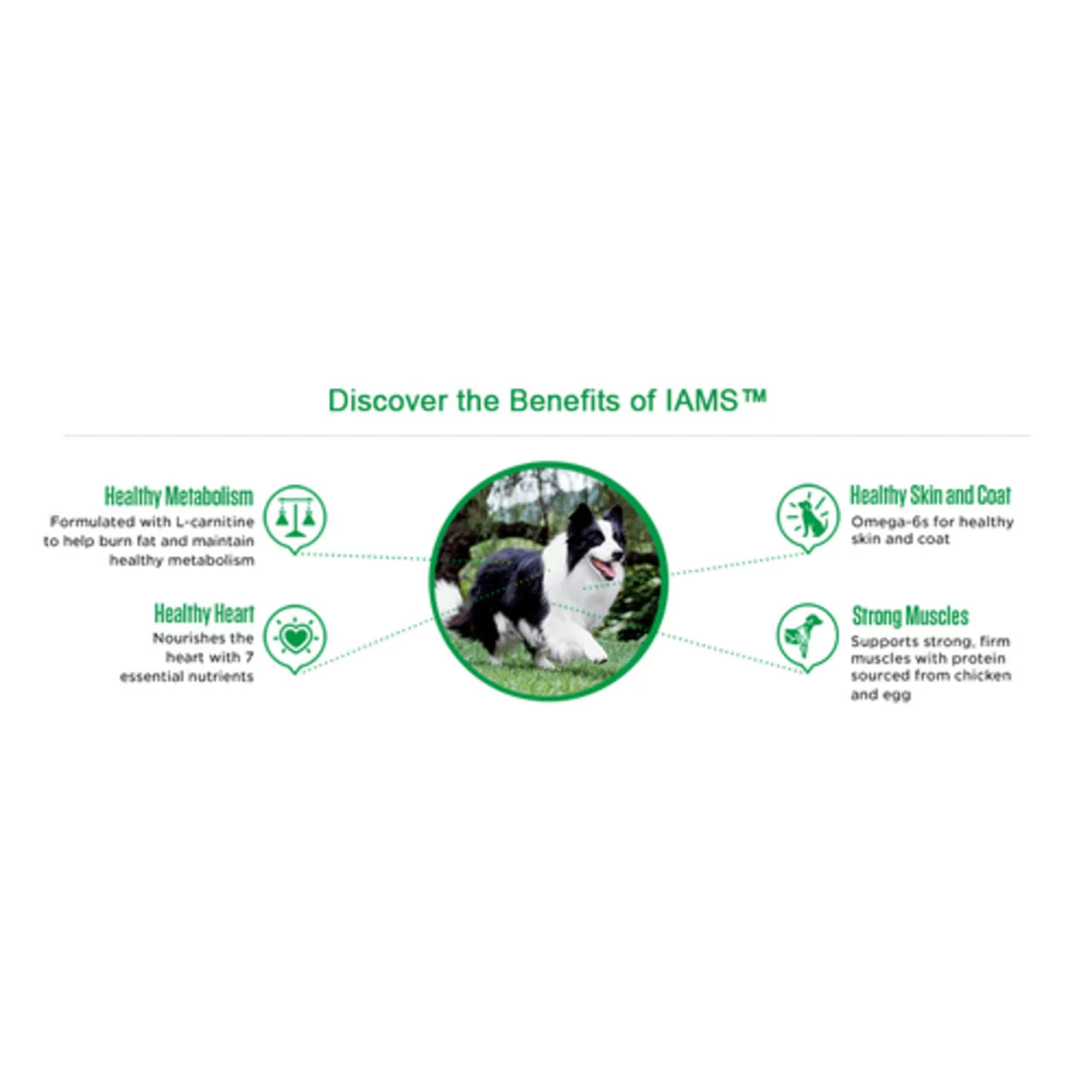 Iams Adult Dry Dog Food Minichunks Chicken & Whole Grains 3.18 kg