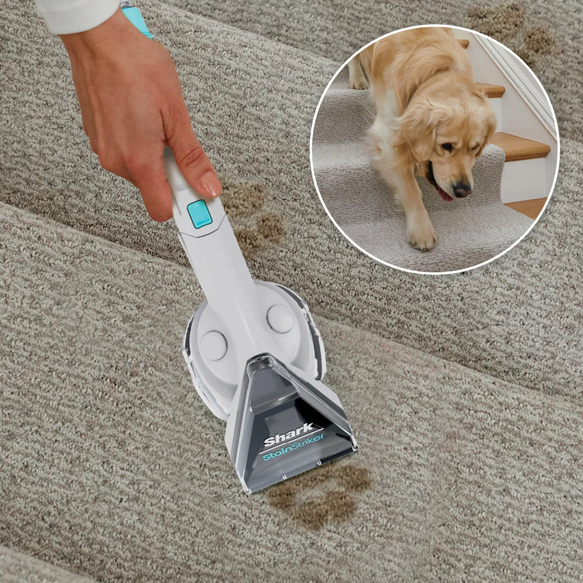 Shark Stain Striker Portable Carpet and Upholstery Cleaner